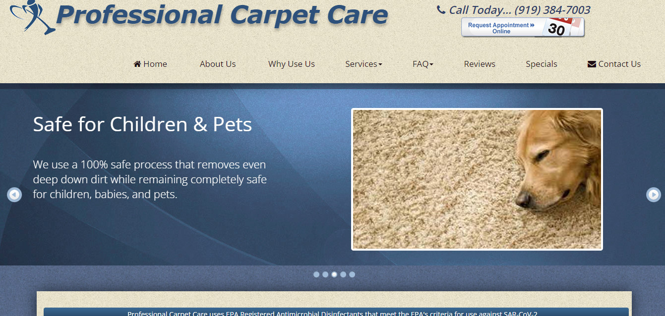 Professional Carpet Care Review