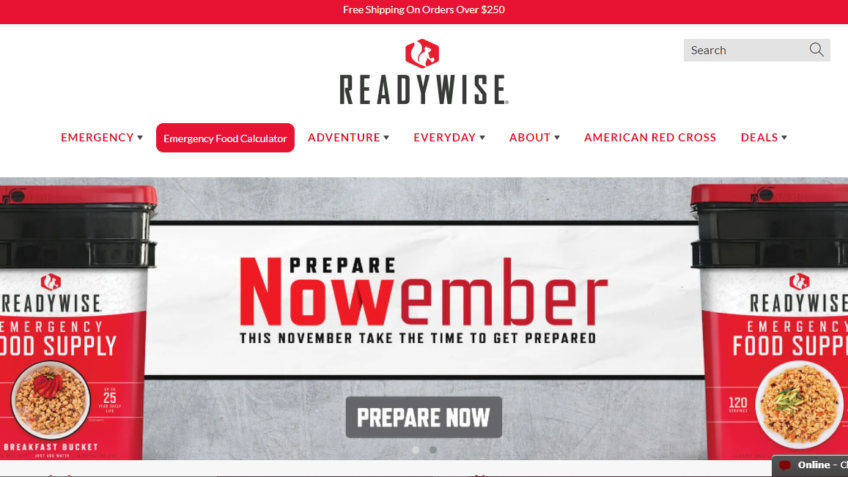 readywise review