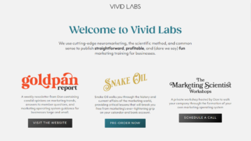 Vivid-Labs-Review