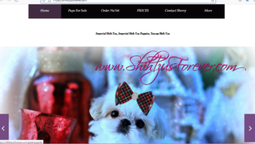 Imperial Shih Tzu reviews