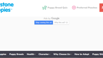 Keystone Puppies Reviews