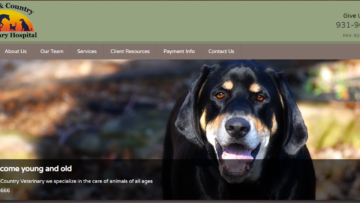 Town & Country Veterinary Hospital Reviews