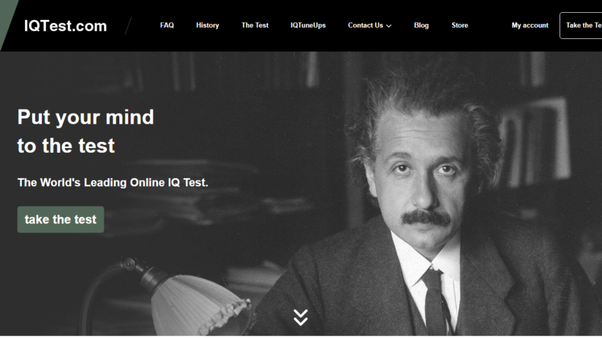 BLOG IQTEST COM visual data 7