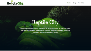 ReptileCity Reviews