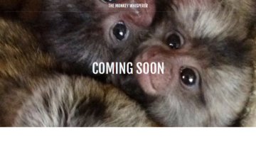 The-Monkey-Whisperer-Review