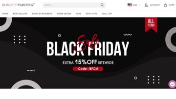 Bling-Painting-Review