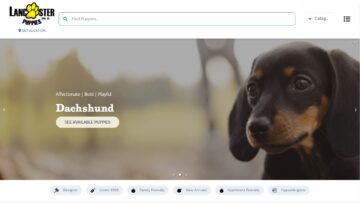 Lancaster-Puppies-Review