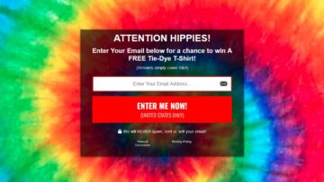 The-hippie-giveaway.com-Review