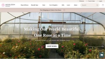 Heirloom-Roses-Review