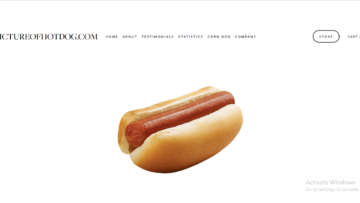 Pictureofhotdog.com-Review