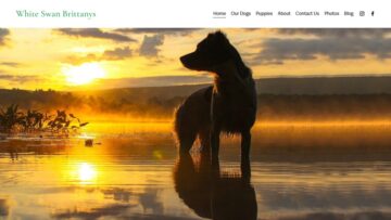 White Swan Brittanys Review