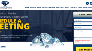 Agi-new-york.com-Review