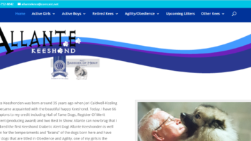 Allante-kees.com-Review