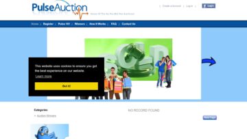 PulseAuction Review