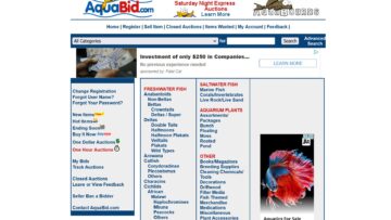 AquaBid.com-Review
