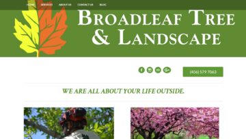 Broadleaf-Tree-and-Landscape-Review