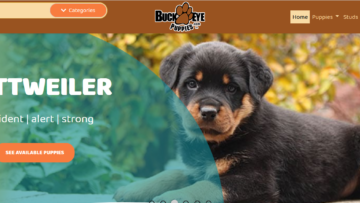 Buckeye-puppies.com-Review