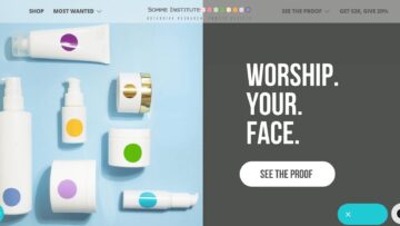 Somme Institute Review