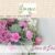 Suburban Floral Review