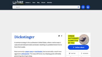 Urban Dictionary Review