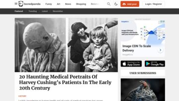 Bored-Panda-Review