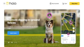 Halo-Collar-Review