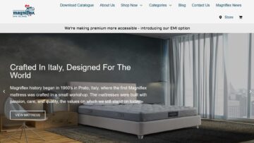 Magniflexindia-Review