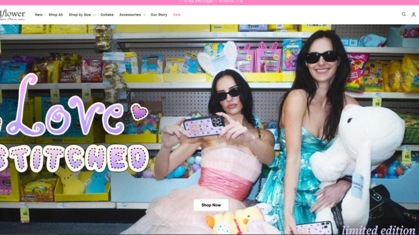 wildflowercases-Review