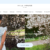 Hill-house-home.com-Review