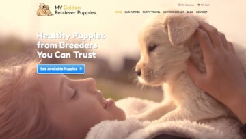 mygoldenretrieverpuppies-Review