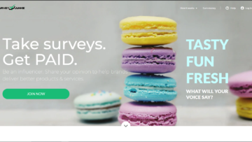 surveyjunkie-Review