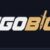 Csgobig.com-Review